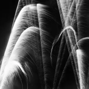 Lions fireworks display at Chester 5th November 1967 Lions fireworks display at Chester 5th November 1967