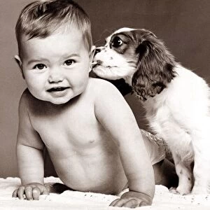 Little boy with dog. Circa 1970