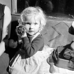 Little girl Josephine Curzon from Maidenhead who keeps rats for a hobby 1963 Little girl Josephine Curzon from Maidenhead who keeps rats for a hobby 1963