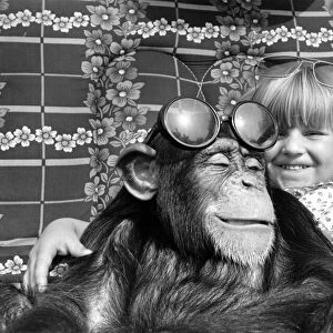Little Kimberley Clark, from Rochdale, Lancs cuddles up to Judy the chimpanzee on a