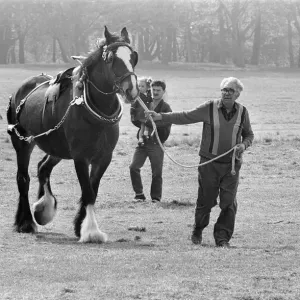 Liverpool May Horse Parade, Saturday 9th May 1987. Behind the scenes, Preparation Liverpool May Horse Parade, Saturday 9th May 1987. Behind the scenes, Preparation