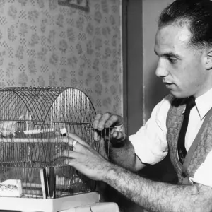 Liverpool full back Ronnie Moran with Joey, his pet canary at home. 26th October 1955 Liverpool full back Ronnie Moran with Joey, his pet canary at home. 26th October 1955