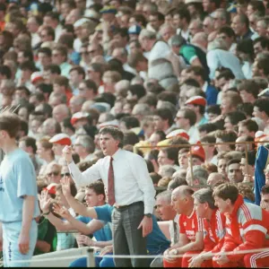 Liverpool verses Wimbledon FA Cup final at Wembley Stadium