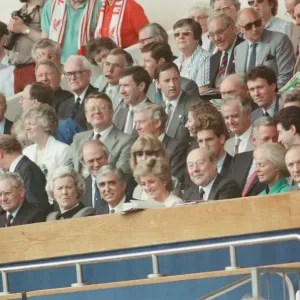 Liverpool verses Wimbledon FA Cup final at Wembley Stadium