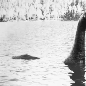 Loch Ness Monster Print from The Loch Ness Horror (1981)