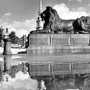 London England October 1945 Trafalgar Square London Views Post-War The Lions