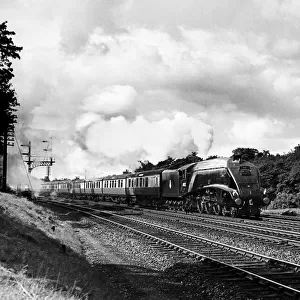 The London North East Railway Class A4 4-6-2 steam locomotive 60032 Gannet heads