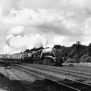A4 60032 Gannet Leads the Elizabethan Express Print A4 60032 Gannet Leads the Elizabethan Express Print