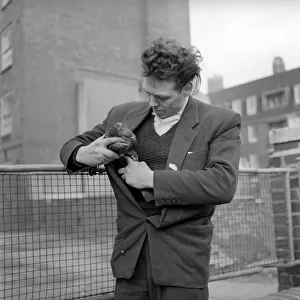 London pigeon catcher. January 1954 A157-001
