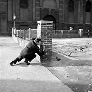 London pigeon catcher. January 1954 A157-006