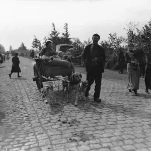 Belgian Refugees Fleeing Antwerp During World War I Print