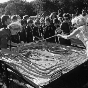 Longest Sausage Print: Stoke Row Cub Section, June 1976 Longest Sausage Print: Stoke Row Cub Section, June 1976