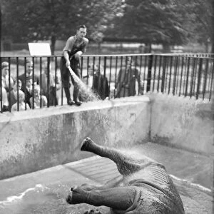 Lorna. rhino at London Zoo has daily shower- keeper Harry Dean. 025560 / 4