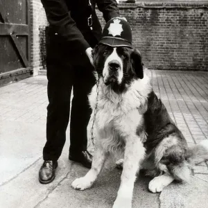 March Collection: 19 Mar 1973