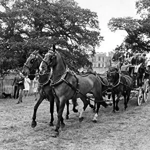 The magnificent "Coach and Four"which gave rides to visitors to the Game Fair