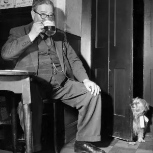 A man drinking a pint at his local pub, has been followed by his pet dog who looks on