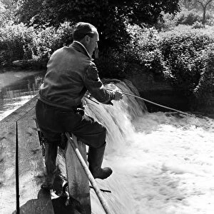 A man fishing in the River Gade in Watford, Hertfordshire. 19th June 1954