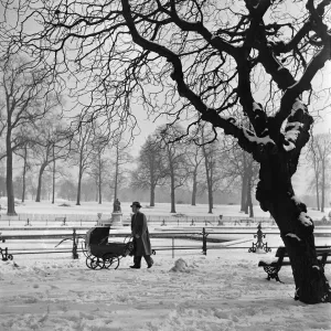 A man pushing a pram through Hyde Park in London. Circa 1953 A man pushing a pram through Hyde Park in London. Circa 1953
