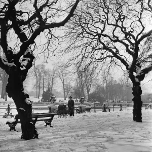 A man pushing a pram through Hyde Park in London. Circa 1953 A man pushing a pram through Hyde Park in London. Circa 1953