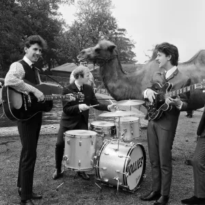 Manchester pop group The Hollies pictured performing at Chessington Zoo in front of Manchester pop group The Hollies pictured performing at Chessington Zoo in front of