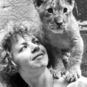 Marbles the lion cub being looked after by Denise Hammond at Lambton Pleasure Park in Marbles the lion cub being looked after by Denise Hammond at Lambton Pleasure Park in