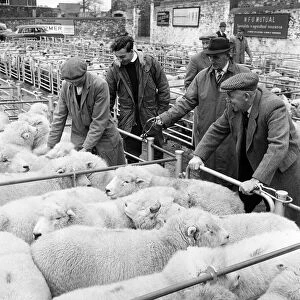 Market scenes in Barnstaple, North Devon. 9th January 1966