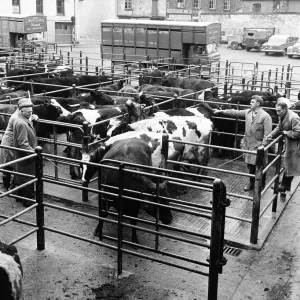 Market scenes in Barnstaple, North Devon. 9th January 1966 Market scenes in Barnstaple, North Devon. 9th January 1966