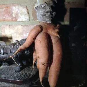 Mascot of the Partridge Green Pumpkin club in the Windmill pub Figure made out of a Mascot of the Partridge Green Pumpkin club in the Windmill pub Figure made out of a