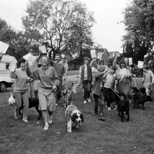 Mass walkies - twenty-four dogs and walkers took part in this sponsored walk at Beaumont
