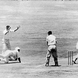 MCC Tour of South Africa from October 1964 to February 1965