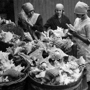 Print of Shell Girls Examining Mediterranean Shells Print of Shell Girls Examining Mediterranean Shells