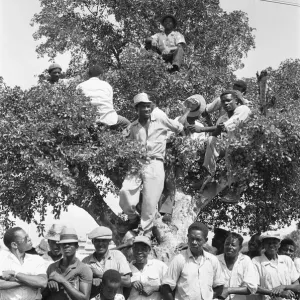 Members of the crowd try to gain a vantage point in the trees surround the Parade Ground Members of the crowd try to gain a vantage point in the trees surround the Parade Ground