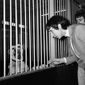 members of The Who rock group sent their managers to purchase a gurad dog at Battersea