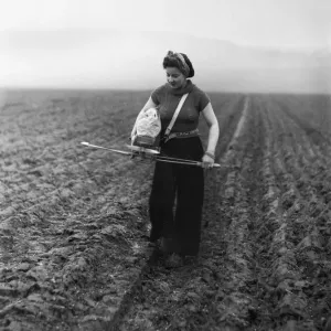 Members of the Women Land Army (WLA) sowing seeds by the old fashioned Fiddle method in