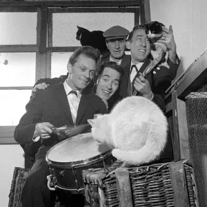 Four men entertain the cats at Whittlesey with a guitar Four men entertain the cats at Whittlesey with a guitar