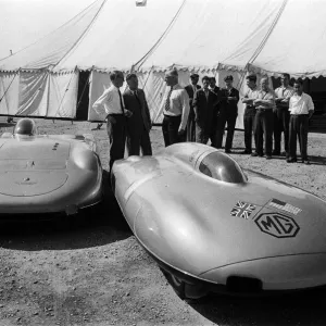 Austin Healey Sprite Print EX219 and MG EX181