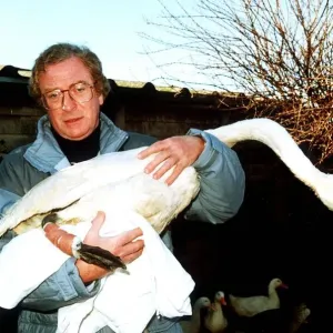 Michael Caine actor with injured swan being treated at Dot Beesons Sanctuary in Surrey Michael Caine actor with injured swan being treated at Dot Beesons Sanctuary in Surrey