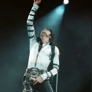 Michael Jackson Concert Print at Wembley Stadium 1988 Michael Jackson Concert Print at Wembley Stadium 1988