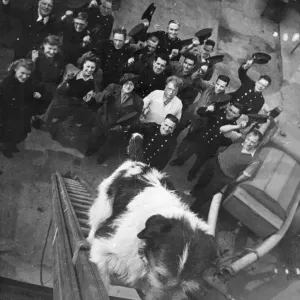 Mick the dog, is the Fireman Mascot at Romford Road, East Ham Mick the dog, is the Fireman Mascot at Romford Road, East Ham