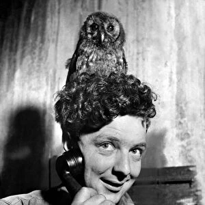 Mick, the owl, listens to every phone call that comes to the Cardiff garage of Mr