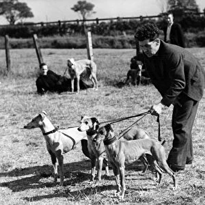 Miners lavish care on their dog pals and here is Mr. L Thompson getting his whippets into