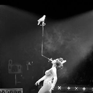 Miss Wendy performs her balancing act with a pigeon perched on the end of a sword during