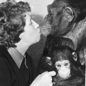Molly Badham with Baby Chimp Brooke - Print (00150)