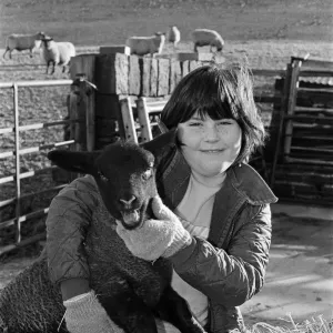 A One Month Old Lamb Gets a Cuddle Print, January 1986