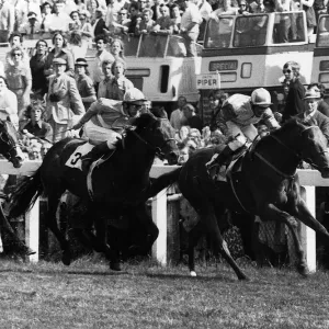 Epsom Derby 1973 Print - Morston's Victory