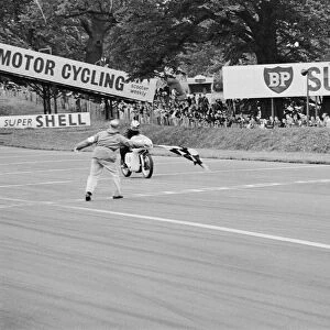 Motor Cycle Racing at oulton Park. Phil read takes the chequered flag after winning