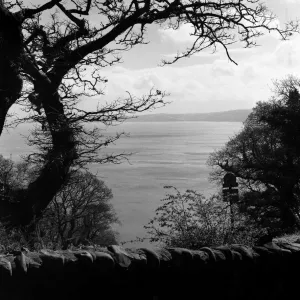 Mount Pleasant, Clovelly, Devon. 14th April 1961 Mount Pleasant, Clovelly, Devon. 14th April 1961