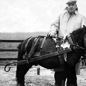 Mr. Harry Butters with one of the pit ponies he trains to work in the mines