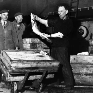 Print of a man holding up a large Hake