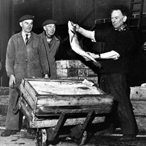 Mr Lal Summerton (right) of Kensington, Liverpool, holds up a large Hake which was part